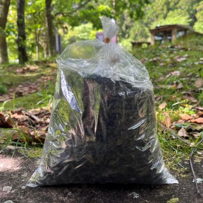 ふるさと納税 田辺市 番茶　350g(70g×5袋)【nts027】