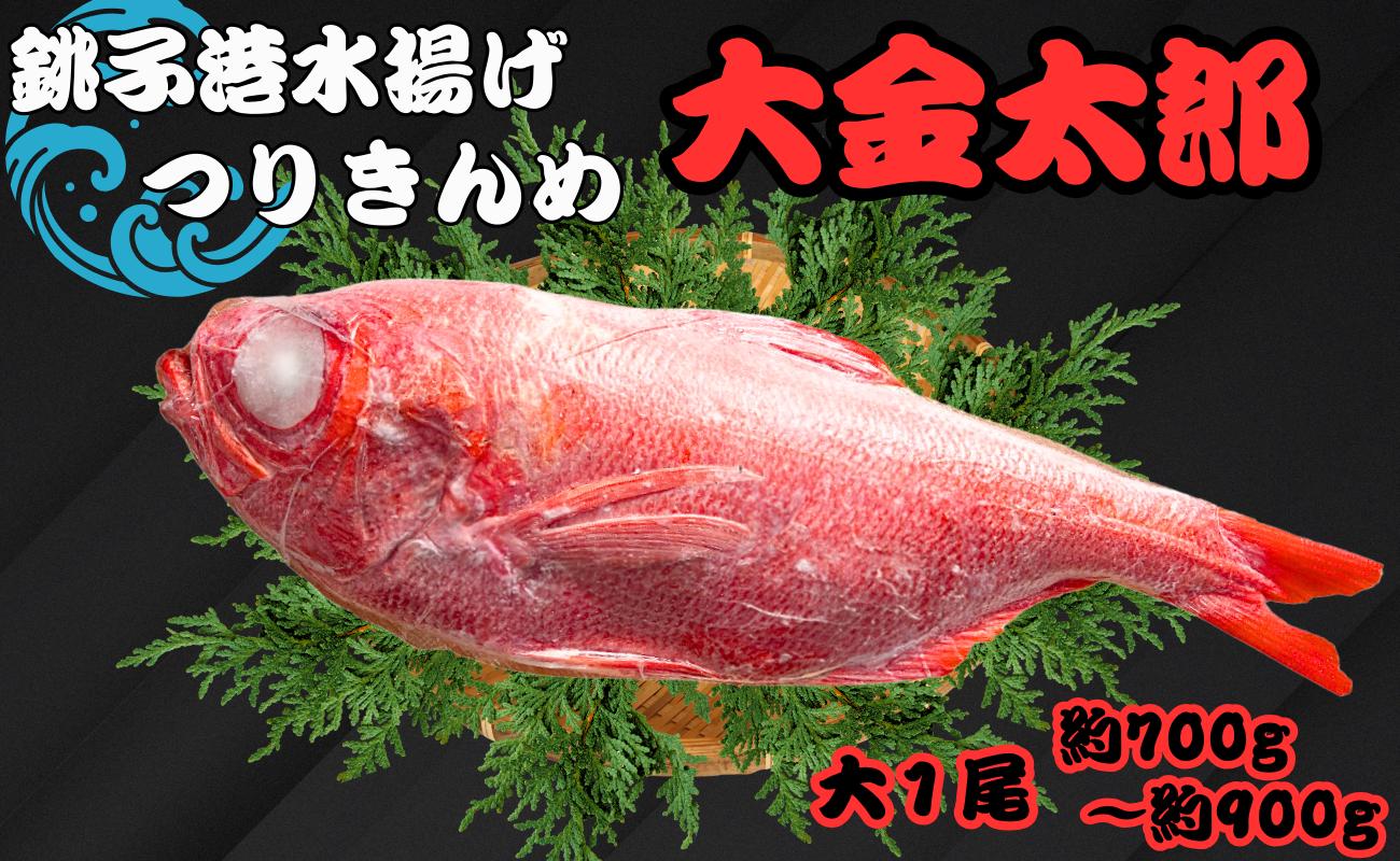 
金目鯛 キンメダイ 1尾 約700g ~ 900g 銚子つりきんめ 大金太郎 銚子キンメ きんめだい 大きい金目鯛 銚子釣り金目 金目鯛 銚子 新鮮 銚子港水揚げ 瞬間冷凍 つりきんめ キンメ 釣り きんめ キンメダイ きんめだい おさしみ 刺し身 煮つけ アクアパッツァ お取り寄せ グルメ 贈り物 お祝 敬老の日 千葉県 銚子市 カネ八商店
