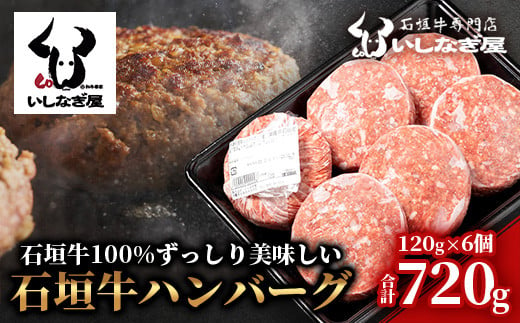 
石垣牛ハンバーグ 120g×6個 【高級黒毛和牛 国産 ハンバーグ 国産牛 石垣牛 沖縄県 沖縄 琉球 八重山 八重山諸島 石垣島 石垣 ハンバーグ】AB-16-1
