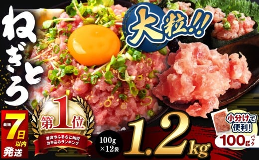 ねぎとろ 小分け 100g パック 1200g（100g×12袋）お試しサイズ スピード発送 | 清幸丸水産 最短7日以内発送 大人気 おためし 手巻き寿司 海鮮丼 韓国風ユッケ マグロのユッケ まぐろ 海鮮 小分け 100g パック 千葉県 君津市