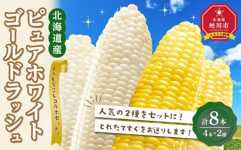 
            【先行受付】とうもろこしコラボセット!　ピュアホワイト4本×ゴールドラッシュ4本（2025年8月下旬より発送予定）【 白いとうもろこし 人気 北海道産 糖度 生 野菜 スイートコーン 産地直送 バーベキュー BBQ コーン 旬 お取り寄せ 旭川市 北海道 】_04561
          