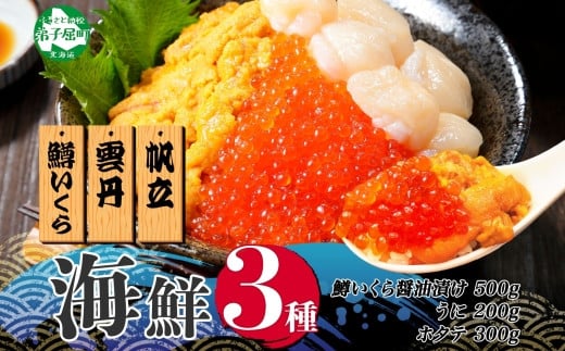 
            3350. 3種 海鮮丼 鱒 いくら醤油漬け 100g×5 5-6人前 ウニ チリ産 雲丹 うに 200g ホタテ 300g 帆立 いくら いくら醤油 イクラ 魚卵 海鮮 送料無料 北海道 弟子屈町
          