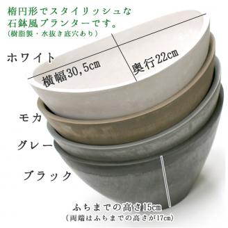 C028 花うるるのおまかせプレミアム寄せ植え