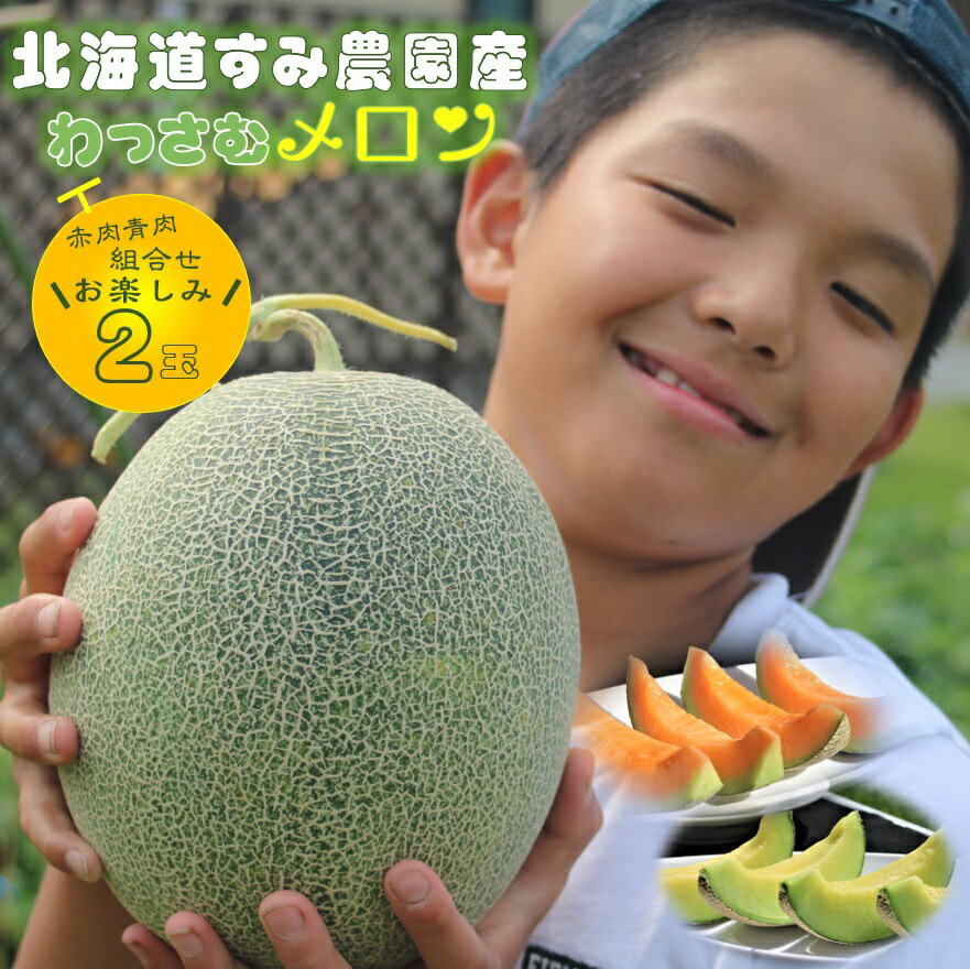 【ふるさと納税】≪令和7年産予約≫ わっさむ産メロン(お任せ2玉) ふるさと納税 メロン 北海道 【7～8月お届け】