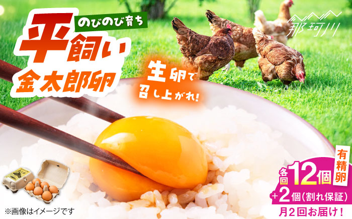 
            ＼月2回発送／【TVで紹介！】【鮮度ＡＡ級の世界最高ランク！】金太郎卵 平飼い たまご 計24個(12個×月2回)＜有限会社フジノ香花園＞那珂川市 卵 たまご 平飼い 新鮮 平飼い卵 国産 玉子 鶏卵 [GAM036]
          