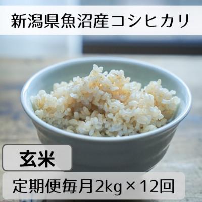 ふるさと納税 十日町市 【毎月定期便】新潟県魚沼産コシヒカリ「山清水米」玄米2kg全12回