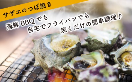 サザエ 1kg 冷凍 下関 サザエ EY