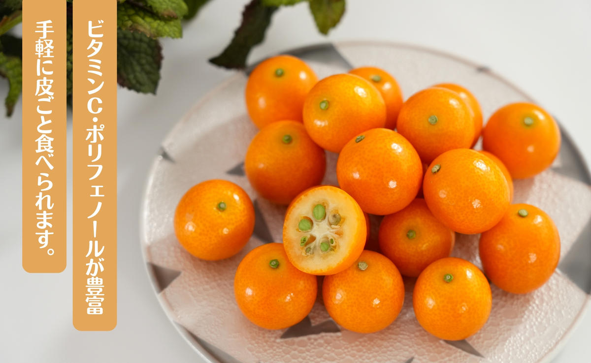 【減農薬栽培！甘くてジューシー！】有田産 完熟金柑 2kg【