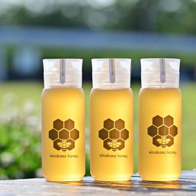 ふるさと納税 美濃加茂市 MINOKAMO HONEY はちみつ ( 200g × 3本 )