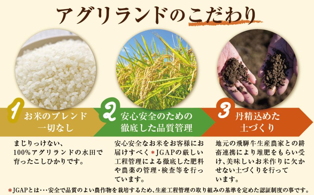 【定期便】こしひかり飛騨っ晴れ 玄米 10kg 12回 お届け 生産者直送 お米 コシヒカリ 飛騨産 飛騨高山 アグリランド JF107
