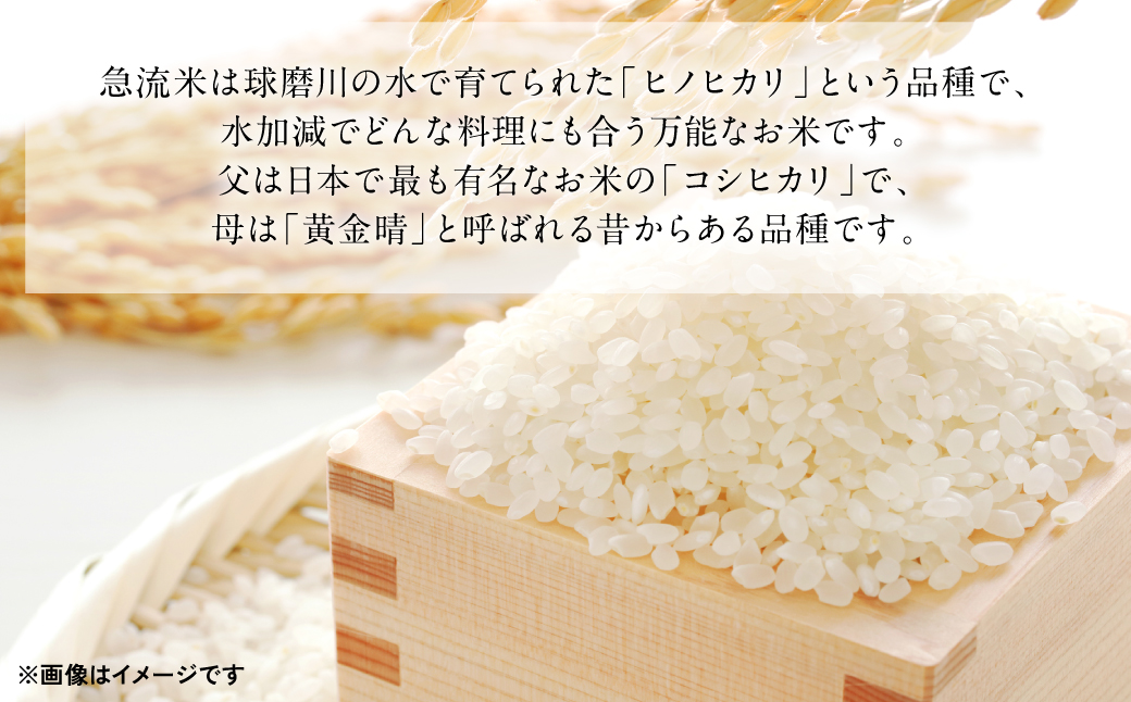 《令和7年産》熊本県八代市産 球磨川急流米 ヒノヒカリ 20kg 国産 白米 精米 お米 コメ 米 ライス ご飯 ごはん 白飯
