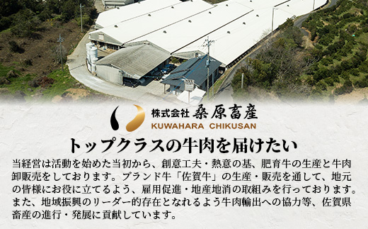 A5等級 佐賀牛 焼肉用 400g【厳選部位】ロース モモ ウデ バラ B-616