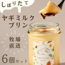 【ふるさと納税】ヤギミルクのプリン（6個 ギフト箱入り） | 菓子 おかし スイーツ デザート 食品 人気 おすすめ 送料無料