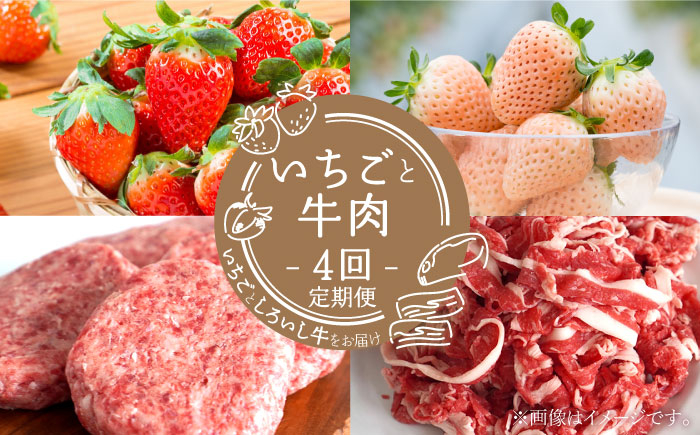 
【先行予約】【4回定期便】産地直送！白石町産 いちごと牛肉の定期便 [IZZ019]
