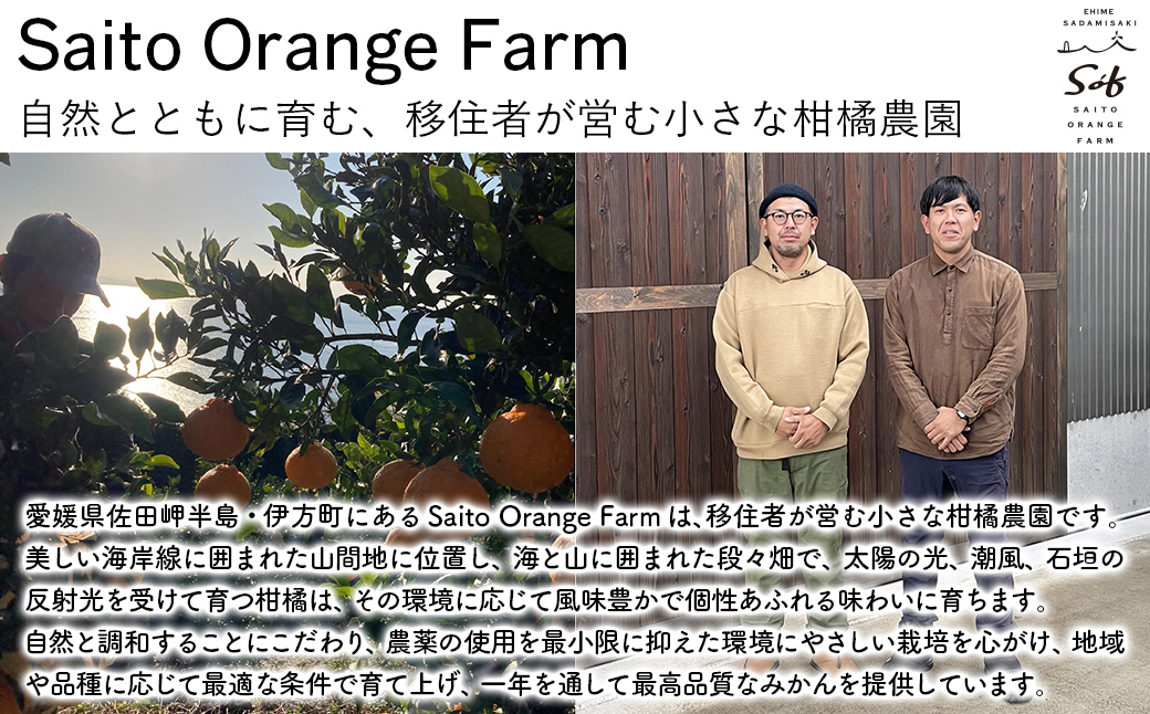 【先行予約】【お試し！】Saito Orange Farmの不知火2kg（2026年2月下旬頃より順次発送） IKTAQ013