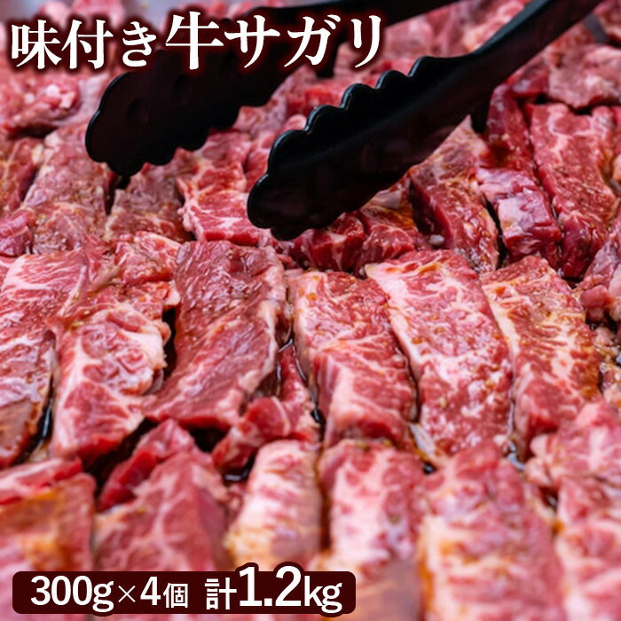 【ふるさと納税】味付き牛サガリ 300g 4個 計1.2kg オンライン 申請 ふるさと納税 北海道 恵庭 サガリ 味付き タレ 味付き肉 牛 牛肉 横隔膜 肉 お肉 焼肉 バーベキュー BBQ アウトドア 恵庭市【160031】