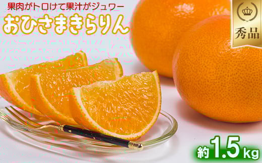今村農園のおひさまきらりん 約1.5kg【秀品】 甘い オレンジ みかん ミカン 清美 1.5kg 1月発送 先行予約 贈答 柑橘類 フルーツ ＜107-023_7＞