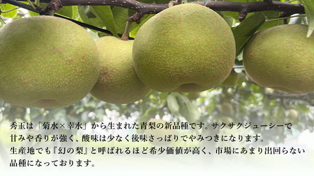 【 先行予約 】茨城県産 『幻の梨』 秀玉 約 3kg 7玉～9玉 ( 茨城県共通返礼品 : 常陸太田市 )  【 2025年 8月下旬頃より発送 】 フルーツ 果物 国産 日本産 梨 ナシ なし 和