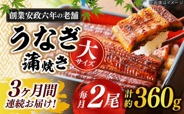 
【うなぎや】 【3回定期便】 炭火焼 うなぎの蒲焼き 2尾 【紀州備長炭使用】 鰻 ウナギ 丑の日 多治見市/うなぎや [TFO007]
