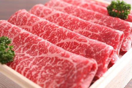 飛騨牛 肉の日 定期便 半年 6回 (6ヶ月)  毎月29日お届け 半年バージョン お肉  牛肉 定期便 飛騨市推奨特産品[L0008]