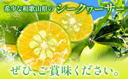 訳あり シークヮーサー 約2kg  シークヮーサー
