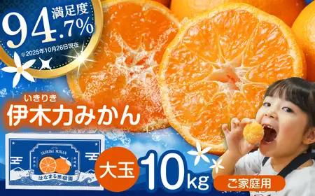 ※【2026年12月上旬より順次発送／先行予約】伊木力みかん(大玉) 10kg / みかん ミカン 蜜柑 フルーツ 果物 / 諫早市 / 山野果樹園 [AHCF005]