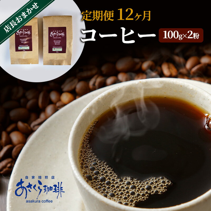 【ふるさと納税】定期便 12ヶ月 コーヒー 店長おまかせコーヒー 100g×2（粉）