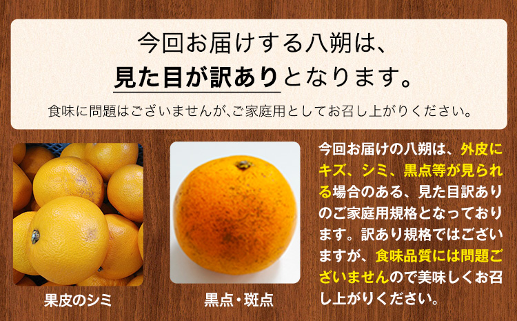 【ふるさと納税】【訳あり/ご家庭用】先行予約 紀の川市八朔 9kg＋1kg 計約10kg サンファーム《2054年1月上旬-3月末頃出荷》和歌山県 紀の川市