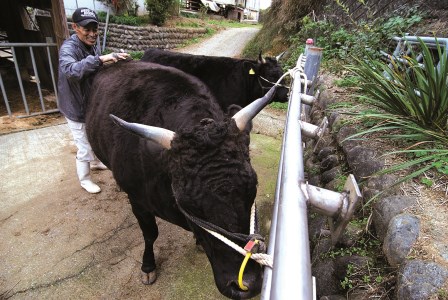 MC-06　特産松阪牛サーロインステーキ