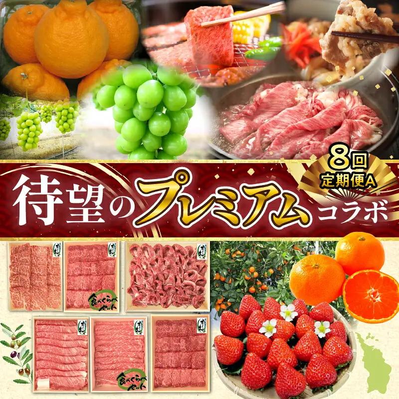 【ふるさと納税】待望のプレミアムコラボ【8回】定期便CA
