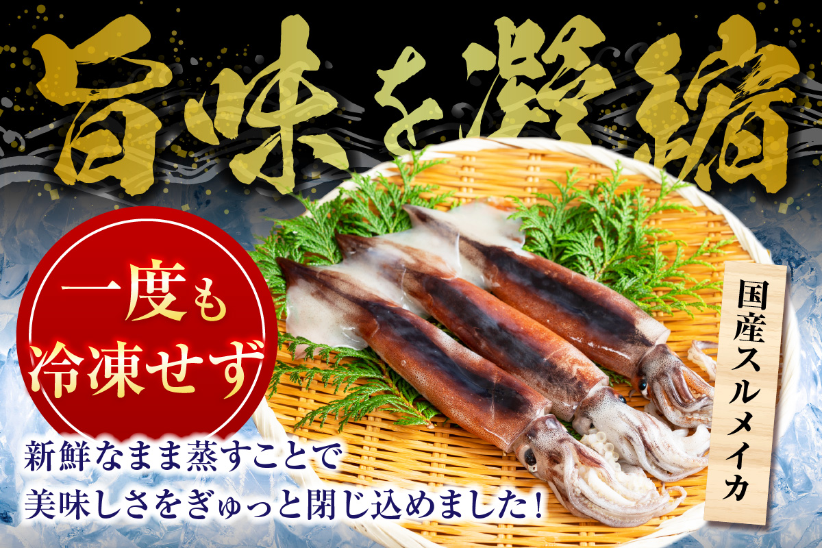 【 串イカ 6尾入り（約100g～130g×6尾）冷凍 】 新鮮 旨味 凝縮 イカ焼き 食べ応え 抜群 いか 串 スチーム 蒸しイカ バーベキュー 焼肉 鉄板焼き BBQ キャンプ 国産 兵庫県 香美