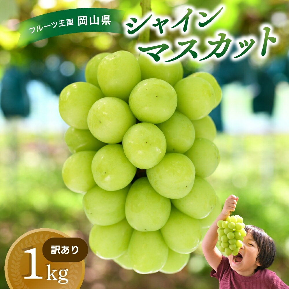 【ふるさと納税】 岡山　花笑み農園のブドウ 『訳ありシャインマスカット』1kg　WS-1 hana35 【2025年9月中旬～順次発送】【配送不可地域：離島】 真庭 国産 産地直送 フルーツ 葡萄 ぶどう 果物 贈答 ギフト 甘い おすすめ 人気 お得 先行予約 不揃い マスカット【1393981】