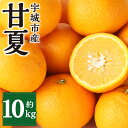 【ふるさと納税】【先行予約】 宇城市産 甘夏 約10kg 20～25玉前後 L～2Lサイズ 谷川果樹園 みかん 蜜柑 柑橘 フルーツ あまなつ 果物 熊本県産 九州産 国産 送料無料 【2025年3月上旬～5月上旬発送予定】