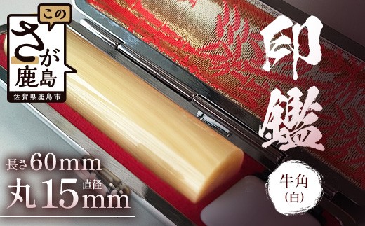 
                  牛角（白）印鑑 実印 1本 専用ケース付｜はんこ ハンコ 手彫り 高級 進学 就職 成人 結婚 祝い 贈答 ギフト お祝  送料無料 J-34
                
