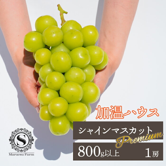 【ふるさと納税】【2026年発送★先行予約】「マルエス農園」加温ハウス　プレミアムシャインマスカット　1房　800g以上 ふるさと納税 笛吹市 国産 人気 期間限定 旬 果物 フルーツ 山梨県 送料無料 216-004