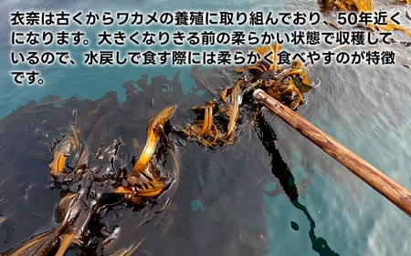 紀州衣奈産乾燥わかめ 約150g×5パック（2026年産） 【SL46】【sml116C】