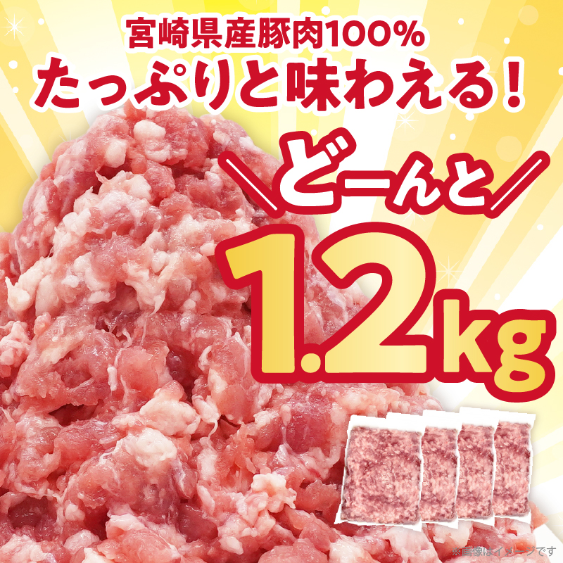 【2週間以内発送】宮崎県産豚ミンチ肉 計1.2kg(300g×4パック) 肉 豚 豚肉 国産_T025-041