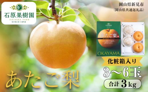 あたご梨 3kg 贈答 化粧箱 赤秀 3～6玉 【先行予約 2026年11月中旬から順次発送】