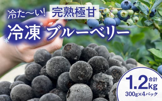 【冷た～い】完熟極甘ブルーベリー(冷凍)1.2kg・N070