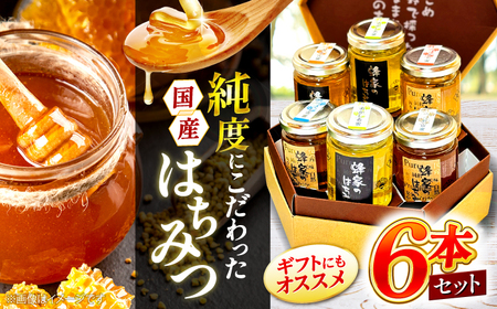 【先行予約】【7月下旬から順次発送】はちみつ5種6本セット 三次市/Beemonte[APCB002]はちみつはちみつはちみつはちみつはちみつはちみつはちみつはちみつはちみつ はちみつ はちみつ はちみつ はちみつ はちみつ