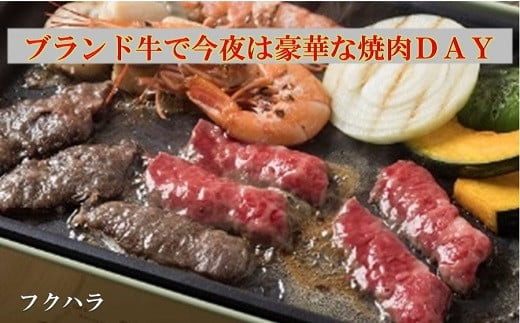 
十勝鹿追産牛肉「とかち晴れ」　焼肉用 350g SKY003
