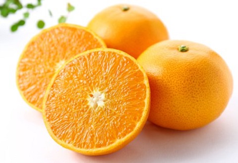 高級 柑橘 温室 せとか 秀品 2L 品 5個入り 約1.2～1.3kg みかん 蜜柑 ミカン 果物 フルーツ 柑橘類 国産 柑橘 期間限定 季節限定 数量限定 人気 旬 甘い ジューシー 完熟 ギフト プレゼント 贈答用 贈り物 お祝い お中元 お歳暮 ふるさと納税柑橘 ふるさと納税みかん 高知 黒潮町［1202］