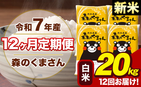 令和7年産 新米【12ヶ月定期便】森のくまさん 白米 20kg 5kg×4袋 計12回お届け《1月から出荷開始》 お米 こめ 熊本県産 ご飯 備蓄