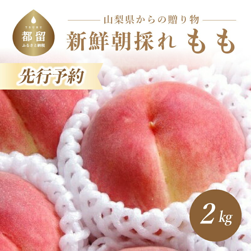 【ふるさと納税】【2025年 先行予約】日本一の産地山梨県産　朝採れ桃2kg(5〜8玉）|【冷蔵】数量限定 送料無料 山梨直送 産地直送 日川白鳳 あさま なつっこ 夢みずき あかつきのうちその時の良い桃を都留市の農家が厳選！