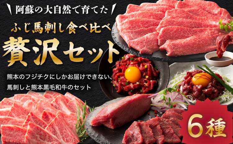 フジチクオリジナル贅沢食べ比べセット 和牛 黒毛和牛 馬肉 赤身 上赤身 バラ カルビ モモ もも 藤彩牛 ふじ馬刺し 絶品 贅沢 上質 専門店 熊本 熊本県 食べ比べ セット 産地直送 家庭用 お取