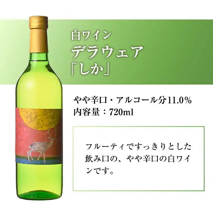 白ワイン ＆ 微発泡デラウェア＆シャインマスカット(合計1.05L・2本)ワイン 白ワイン 酒 お酒 甘口 甘口ワイン アルコール 微発泡 デラウェア ぶどう 葡萄 安心院産 飲み比べ セット【100