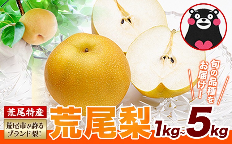 
                  梨 荒尾梨 約1kg 約4kg 約4.5kg～5kg お試し 定期便 品種 なし フルーツ 果物 旬 《2026年8月下旬‐11月中旬頃出荷》熊本県 荒尾市 旬の梨 幸水 秋麗 豊水 あきづき 新高 など 合計8種のいずれか（品種指定不可）ジュース
                