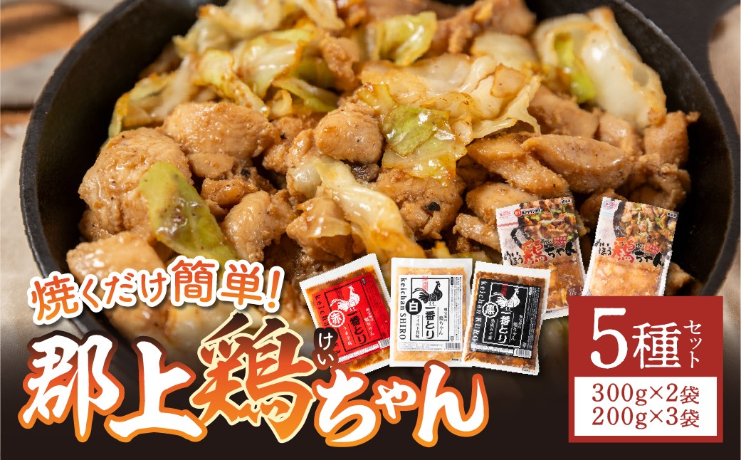 
                  食べ比べ 郡上鶏ちゃん5種セット 味付肉 （鶏肉） / 食品 精肉 肉加工品 鶏肉 セット 詰め合わせ 10000円 鶏ちゃん 明宝家 A-243
                