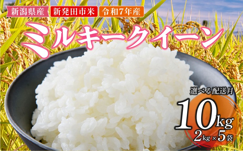 
            令和7年産 新発田市米 ミルキークイーン 選べる 配送月 計10kg 2kg×5袋 米 白米 ご飯 料理 おにぎり 弁当 新潟県 新潟産 新発田産 ミルキークイーン 佐々木耕起組合 2kg 新潟県 新発田市 非常食 備蓄 sasakikoki002_01P
          