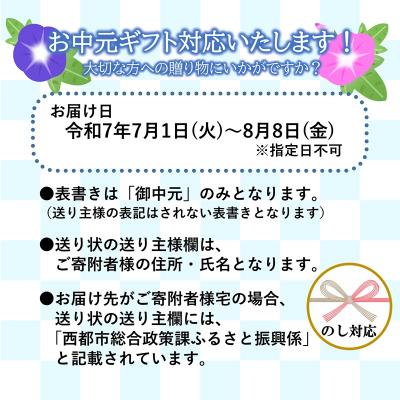 ふるさと納税 西都市 【お中元ギフト】<新茶>お茶農家直送　初摘み新茶3本セット[2520] |  | 03